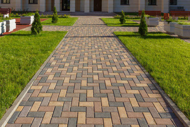 Best Driveway Pavers Near Me  in Shakopee, MN